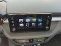 Skoda Fabia 1.0 Tour LED Carplay SHZ GRA PDC vorn & hinten Vor Grau - thumbnail 12