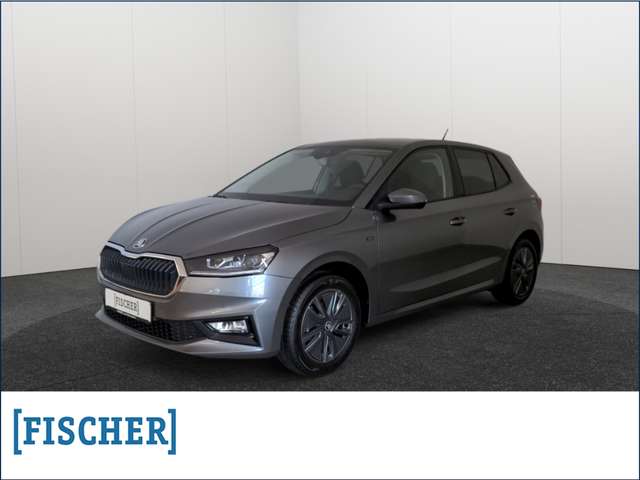 Imagine Skoda Fabia 1.0 Tour LED Carplay SHZ GRA PDC vorn & hinten Vor