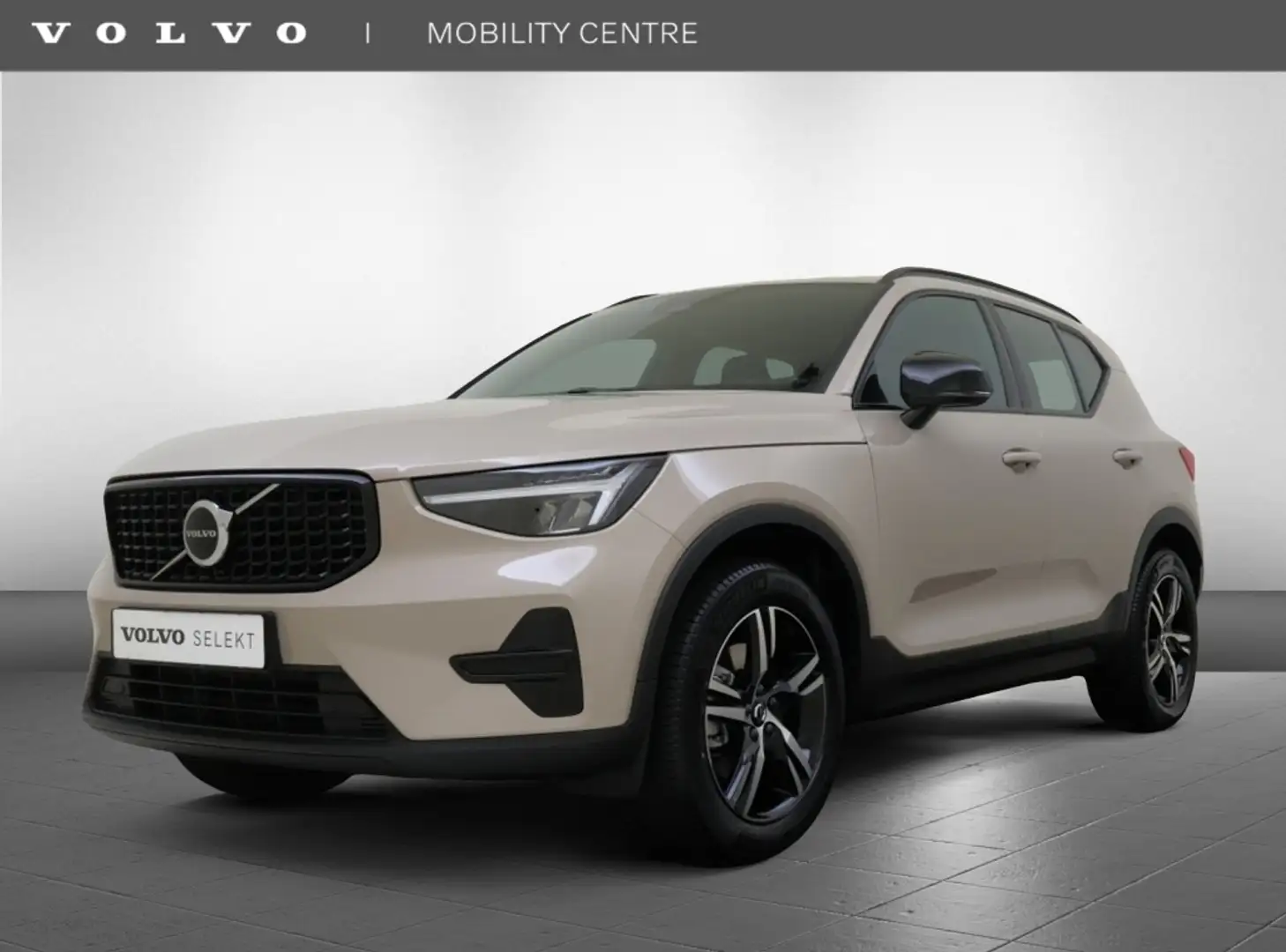 Volvo XC40 2.0 B4 Plus Dark | Trekhaak | H&K Audio | Memory | Bruin - 1
