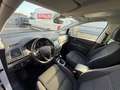 SEAT Alhambra Xcellence 2,0TDI DSG/AHK/ACC/Xenon/NAVI/RFK/7Sitze Weiß - thumbnail 14