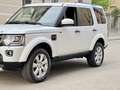 Land Rover Discovery 4 3.0 SDV6 249cv Euro6 auto 4X4 + Ridotte 7P-ti SE Weiß - thumbnail 14