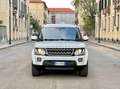 Land Rover Discovery 4 3.0 SDV6 249cv Euro6 auto 4X4 + Ridotte 7P-ti SE Weiß - thumbnail 4