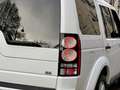 Land Rover Discovery 4 3.0 SDV6 249cv Euro6 auto 4X4 + Ridotte 7P-ti SE Weiß - thumbnail 7