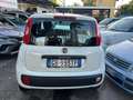 Fiat Panda Panda III 2016 1.2 Lounge s Weiß - thumbnail 5