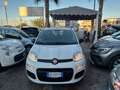 Fiat Panda Panda III 2016 1.2 Lounge s Weiß - thumbnail 2