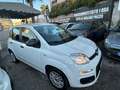 Fiat Panda Panda III 2016 1.2 Lounge s Weiß - thumbnail 1