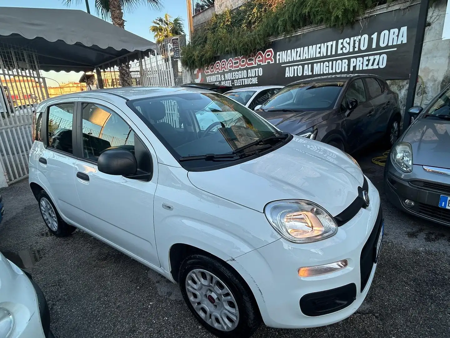 Fiat Panda Panda III 2016 1.2 Lounge s Weiß - 1