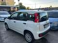 Fiat Panda Panda III 2016 1.2 Lounge s Weiß - thumbnail 4