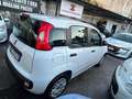 Fiat Panda Panda III 2016 1.2 Lounge s Weiß - thumbnail 6