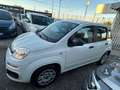 Fiat Panda Panda III 2016 1.2 Lounge s Weiß - thumbnail 3