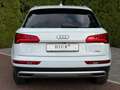 Audi Q5 40 TDI Quatt Design XEN+MMI+PANO+360°+ACC+SHZ Weiß - thumbnail 6