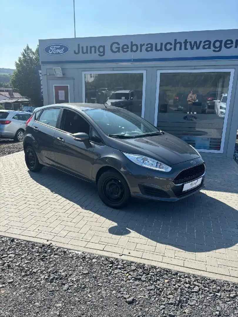 Ford Fiesta Trend Grau - 1