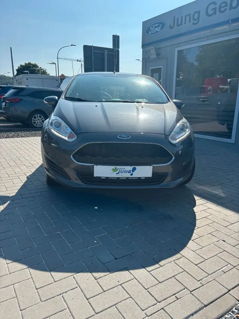 Ford Fiesta Trend Gris - 2