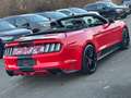 Ford Mustang CABRIOLET 2.3 EcoBoost CUIR CLIM GPS FULL OPTIONS Rouge - thumbnail 13