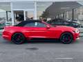 Ford Mustang CABRIOLET 2.3 EcoBoost CUIR CLIM GPS FULL OPTIONS Rouge - thumbnail 6