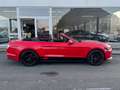 Ford Mustang CABRIOLET 2.3 EcoBoost CUIR CLIM GPS FULL OPTIONS Rouge - thumbnail 3