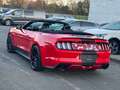 Ford Mustang CABRIOLET 2.3 EcoBoost CUIR CLIM GPS FULL OPTIONS Rouge - thumbnail 11