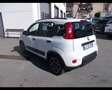 Fiat New Panda 1.0 hybrid 70cv City Life 5 posti bijela - thumbnail 4