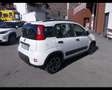 Fiat New Panda 1.0 hybrid 70cv City Life 5 posti Fehér - thumbnail 3