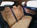 Lexus NX 450h+ Premium+ 4WD Nero - thumbnail 9