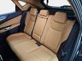 Lexus NX 450h+ Premium+ 4WD Nero - thumbnail 8