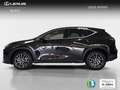 Lexus NX 450h+ Premium+ 4WD Nero - thumbnail 4