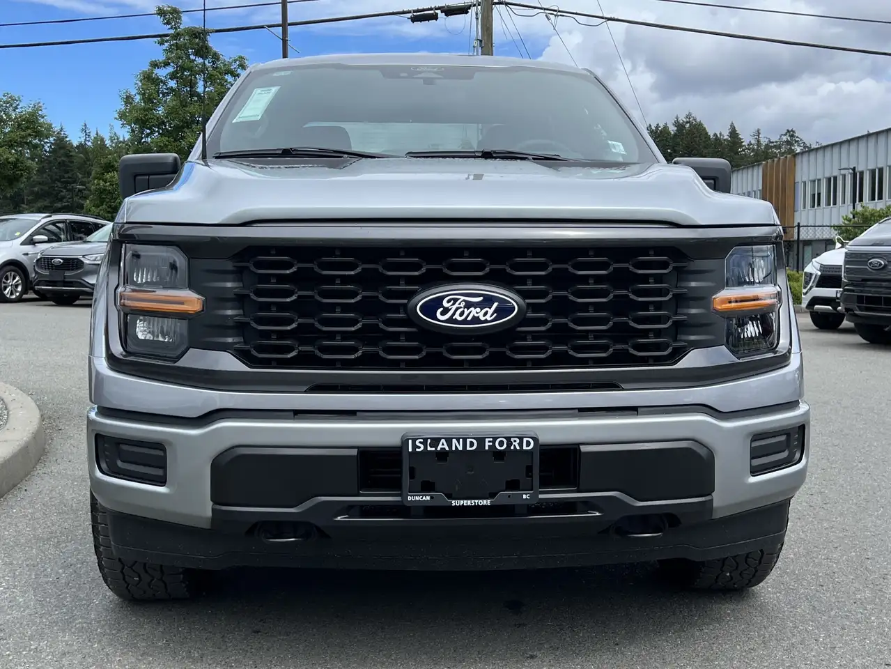 Ford F 150 снимка Ford F 150