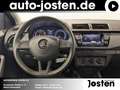 Skoda Fabia Cool Plus 1.0 TSI Enjoy Paket Bluetooth Blau - thumbnail 11