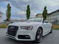 Audi A5 Cabriolet 3.0 TDI quattro S-line/ACC/20Zoll Alb - thumbnail 1