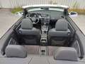 Audi A5 Cabriolet 3.0 TDI quattro S-line/ACC/20Zoll Alb - thumbnail 14