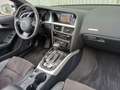Audi A5 Cabriolet 3.0 TDI quattro S-line/ACC/20Zoll Alb - thumbnail 10