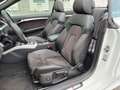 Audi A5 Cabriolet 3.0 TDI quattro S-line/ACC/20Zoll Alb - thumbnail 12