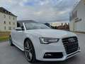 Audi A5 Cabriolet 3.0 TDI quattro S-line/ACC/20Zoll Alb - thumbnail 3
