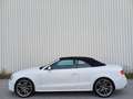 Audi A5 Cabriolet 3.0 TDI quattro S-line/ACC/20Zoll Alb - thumbnail 5