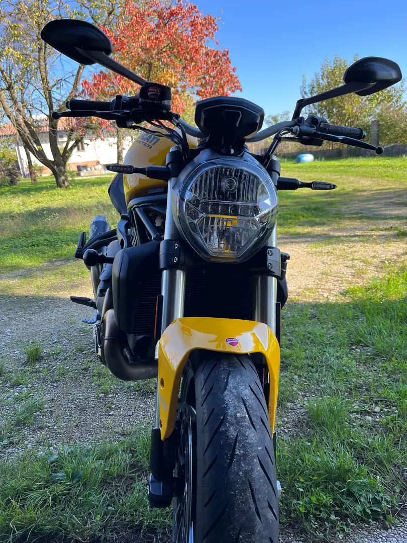 Ducati Monster 821 Gialla 25esimo anniversario Galben - 1