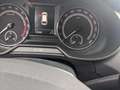 Skoda Octavia Combi RS 4x4 Challenge Plus Panorama Gris - thumbnail 8
