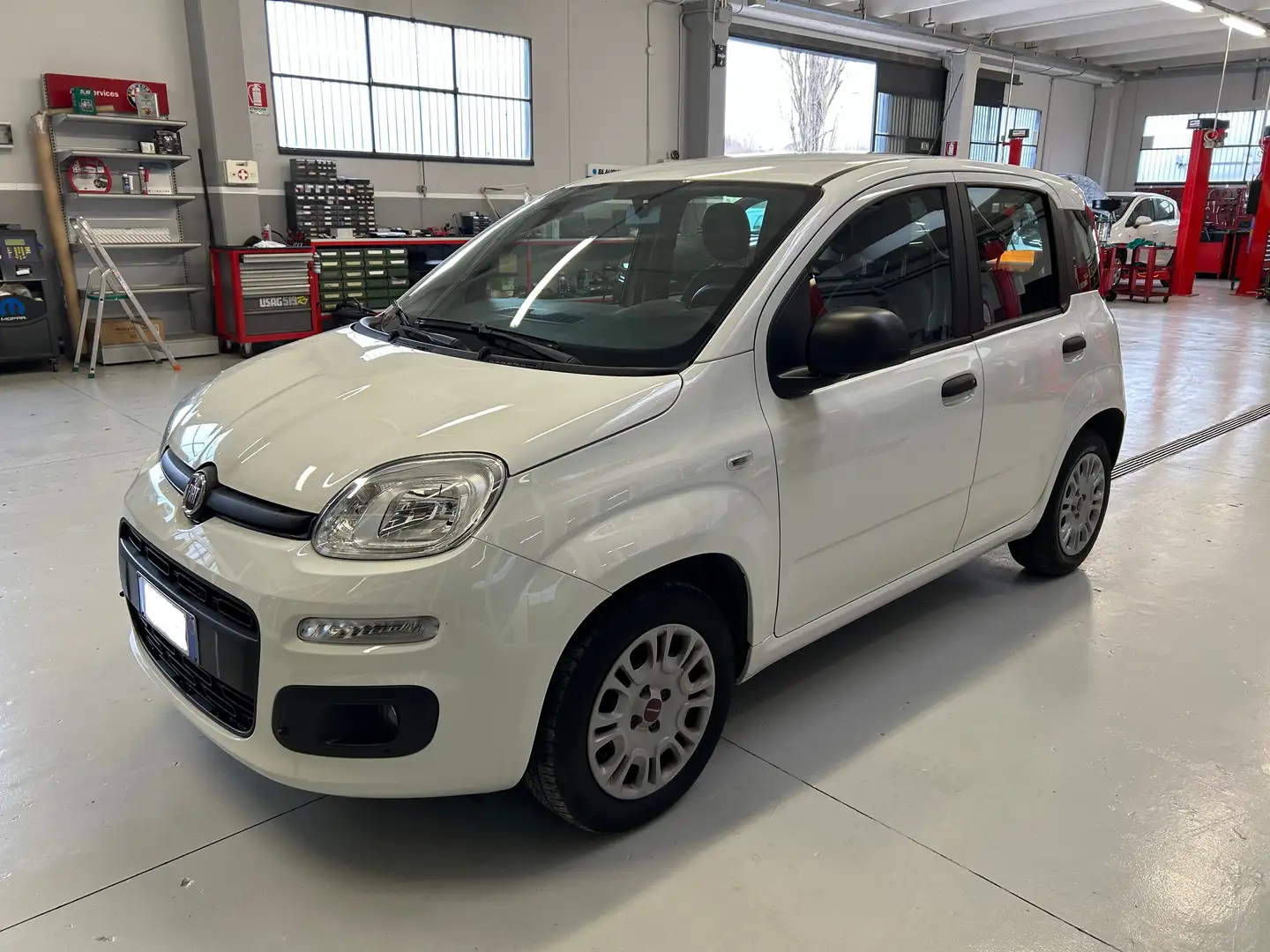 Fiat Panda Panda 1.2 Easy s - 1