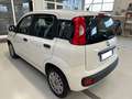 Fiat Panda Panda 1.2 Easy s - thumbnail 4