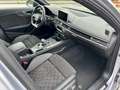 Audi RS4 Avant 2.9 tfsi Exclusive quattro 450cv 89900 km Grigio - thumbnail 7