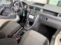 Volkswagen Caddy 2,0 TDI 4 Motion NFZ Kasten Glasscheiben Wit - thumbnail 5