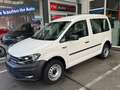 Volkswagen Caddy 2,0 TDI 4 Motion NFZ Kasten Glasscheiben Wit - thumbnail 1