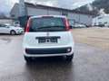 Fiat Panda 1.2 Easy Klima EU6b Kd-Neu Garantie Weiß - thumbnail 6