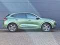 Ford Kuga 2.5 PHEV 243pk e-CVT ST-Line X | 360° camera | Pan Groen - thumbnail 3