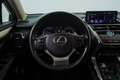 Lexus NX 300h Sport Edition 2WD Gris - thumbnail 18