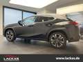 Lexus UX 250h EXECUTIVE*LINE*SCHIEBEDACH*METALLIC-LACKIERUNG*GAR Black - thumbnail 5