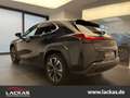 Lexus UX 250h EXECUTIVE*LINE*SCHIEBEDACH*METALLIC-LACKIERUNG*GAR Black - thumbnail 3