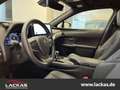 Lexus UX 250h EXECUTIVE*LINE*SCHIEBEDACH*METALLIC-LACKIERUNG*GAR Black - thumbnail 10