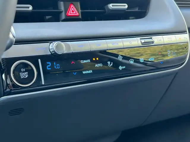 Hyundai Ioniq 5 view 15