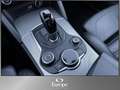 Alfa Romeo Stelvio Super 2,0 ATX AWD /Pano/ACC/Keyless/Kamera Rot - thumbnail 14
