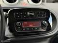 smart forFour 1.0 Perfect | Aut. climate | Cruise control Grigio - thumbnail 24
